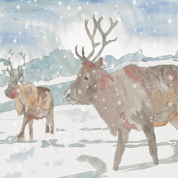 Illustration of two reindeer walking in the snow. Animated snow falls in the foreground.